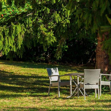 Logis Hotel Noemys Morgon Вилье-Моргон Экстерьер фото